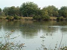 DSCF2465.JPG