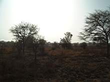 DSCF2500.JPG