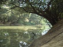 DSCF2502.JPG
