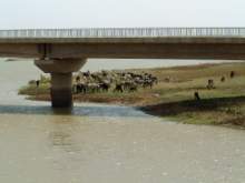 DSCF2645.JPG