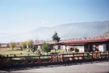16540024.JPG
