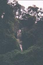 16540068.jpg