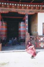 16540102.jpg