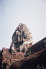16430054.jpg