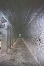 16430065.jpg