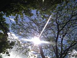 2011.08.08.03.jpg