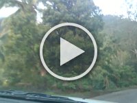 VID 20161118 175140