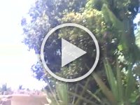 VID 20161119 115942