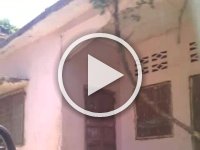 VID 20161119 120124
