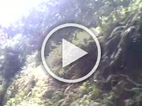 VID 20161119 121726