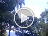 VID 20161119 123013