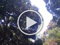 VID 20161119 123044