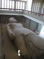 IMG_2258.jpg