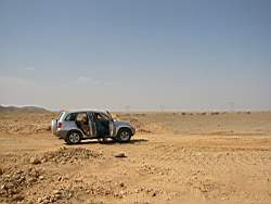 IMG_2300.jpg