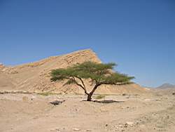 IMG_2300a.jpg