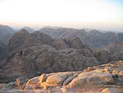 IMG_2315.jpg