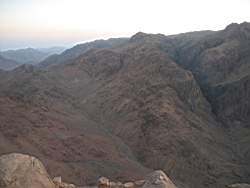 IMG_2321.jpg