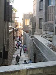 IMG_4134.jpg