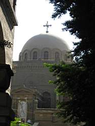 IMG_4137.jpg