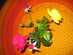 IMG_4142.jpg