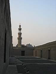 IMG_4155.jpg