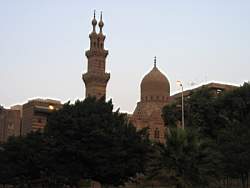 IMG_4156.jpg