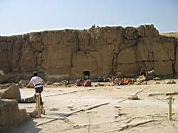 IMG_4175.jpg