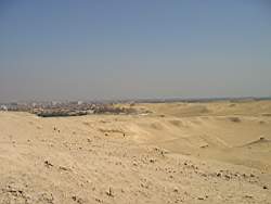 IMG_4184.jpg
