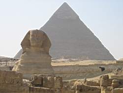IMG_4193.jpg