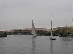 IMG_4832.jpg