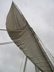 IMG_4842.jpg
