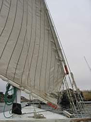 IMG_4844.jpg