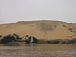 IMG_4859.jpg
