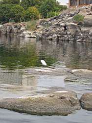 IMG_4865.jpg