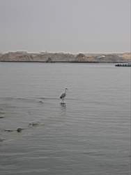 IMG_4873.jpg