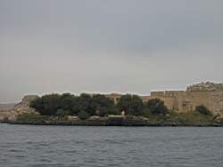 IMG_4875.jpg