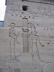 IMG_4878.jpg