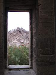IMG_4887.jpg