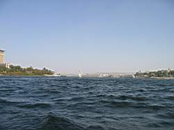 IMG_4905.jpg