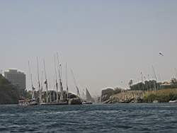 IMG_4907.jpg