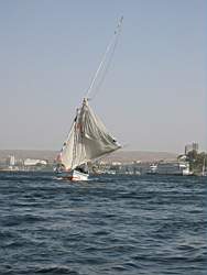 IMG_4909.jpg