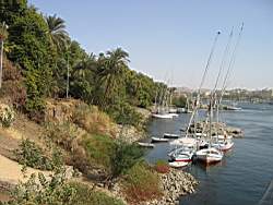 IMG_4915.jpg
