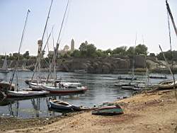 IMG_4947.jpg