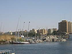 IMG_4949.jpg