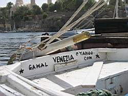 IMG_4950.jpg