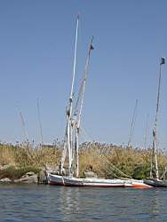 IMG_4952.jpg