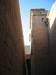 IMG_4995.jpg