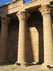 IMG_5016.jpg