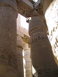 IMG_5100.jpg