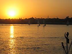IMG_5149.jpg